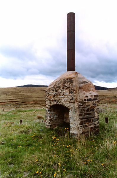 Neglected Homestead