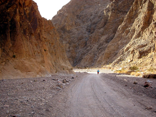 Titus Canyon, Death Valley