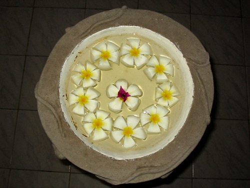 Lotus blossoms floating in water